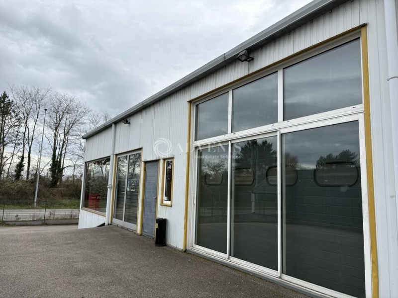 Location Activités Entrepôts ILLKIRCH GRAFFENSTADEN (67400) - Photo 11