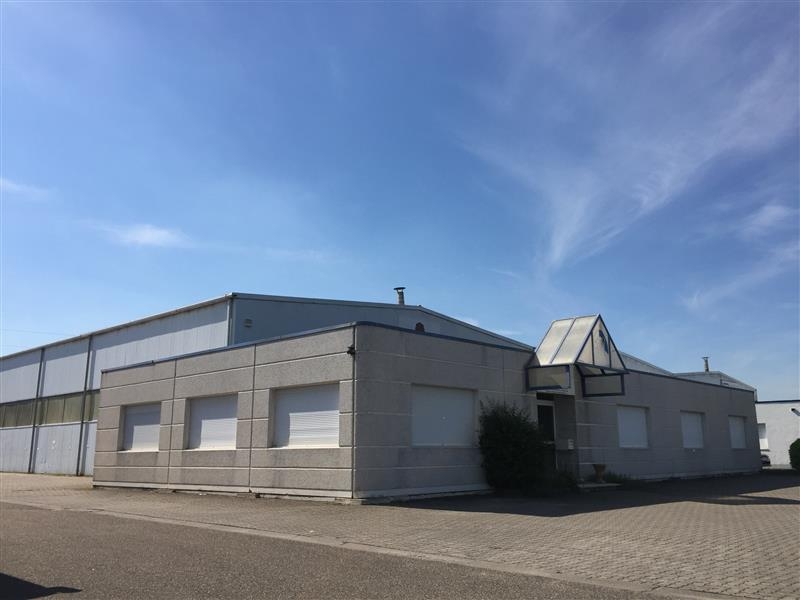Location Activités Entrepôts VENDENHEIM (67550) - Photo 1