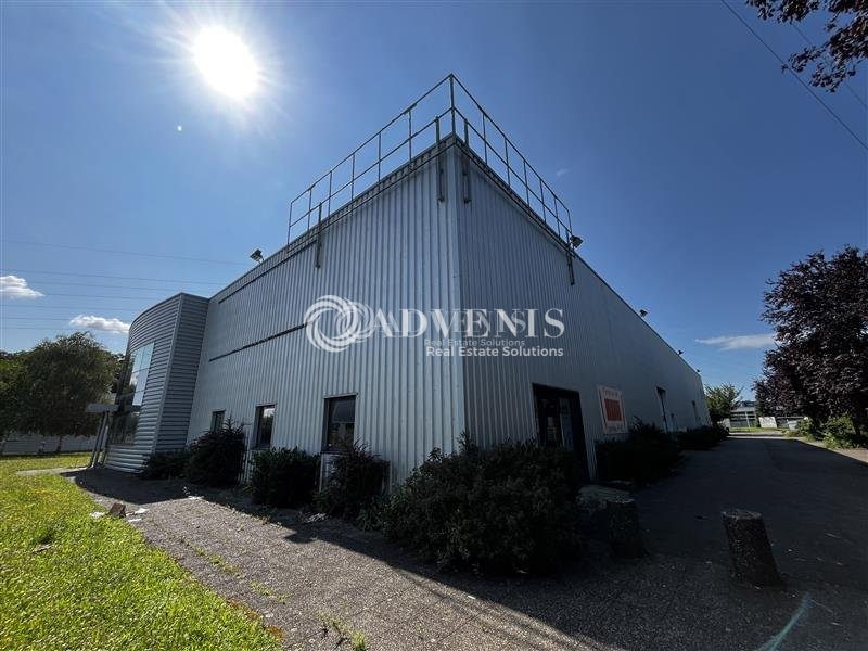 Location Activités Entrepôts ECKBOLSHEIM (67201) - Photo 1