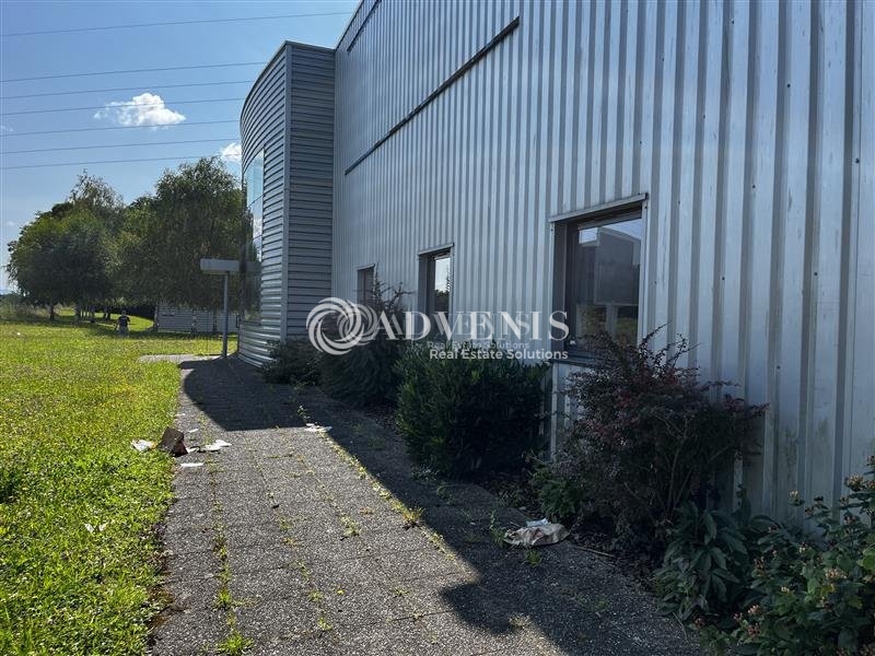 Location Activités Entrepôts ECKBOLSHEIM (67201) - Photo 3