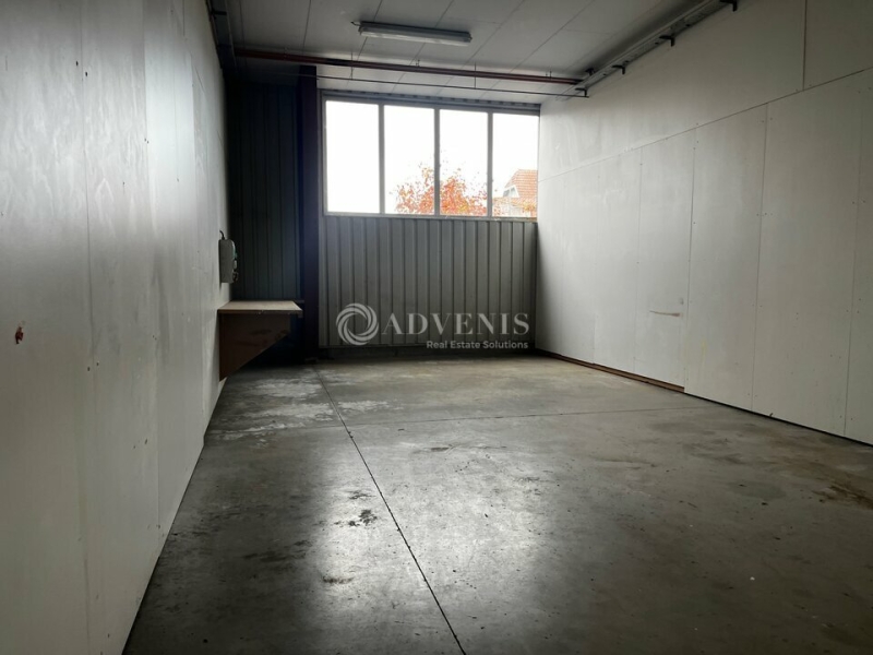 Location Activités Entrepôts ERNOLSHEIM BRUCHE (67120) - Photo 9