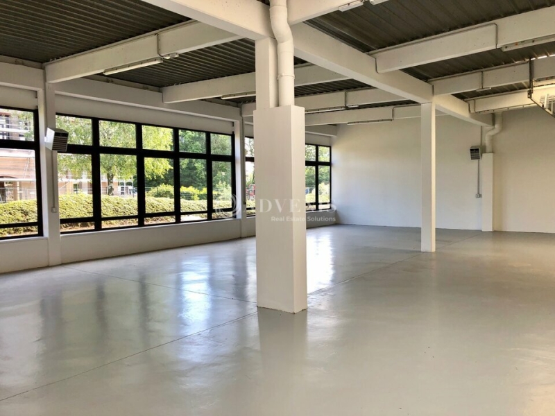 Location Activités Entrepôts LINGOLSHEIM (67380) - Photo 5