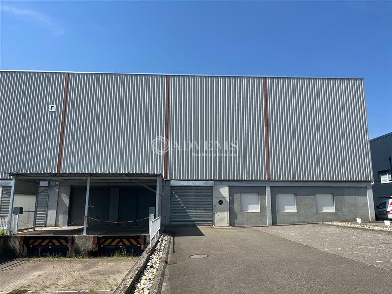 Location Activités Entrepôts SELESTAT (67600) - Photo 2