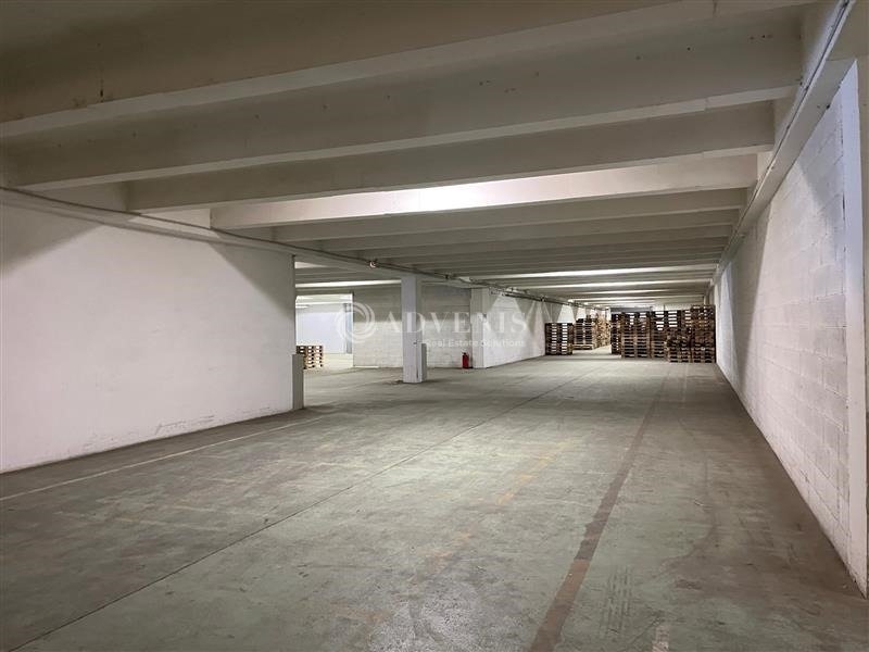 Location Activités Entrepôts SELESTAT (67600) - Photo 4