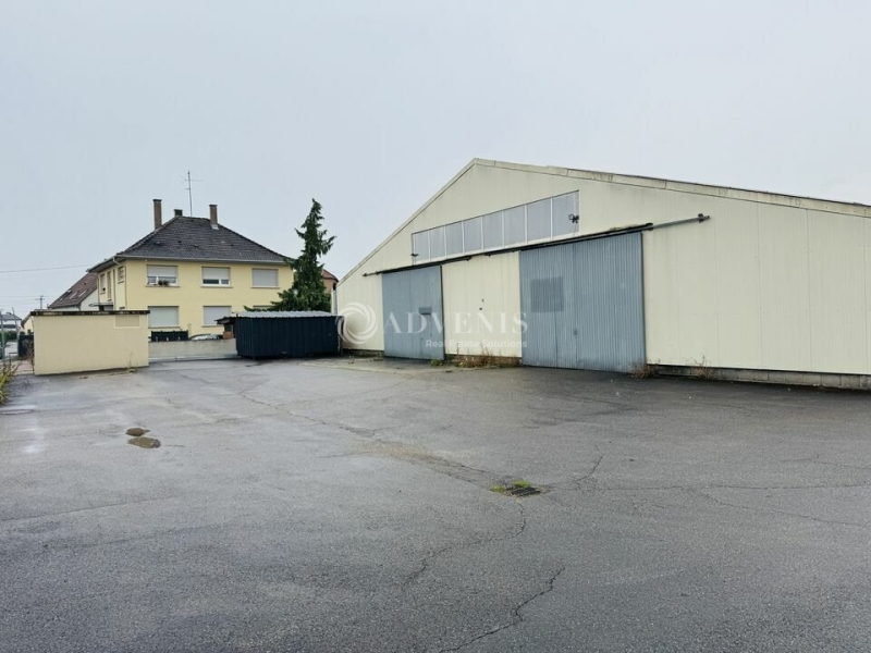 Location Activités Entrepôts FEGERSHEIM (67640) - Photo 1