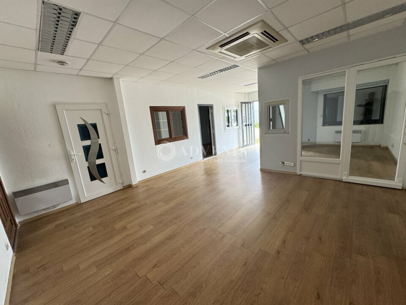 Location Activités Entrepôts ECKBOLSHEIM (67201) - Photo 9