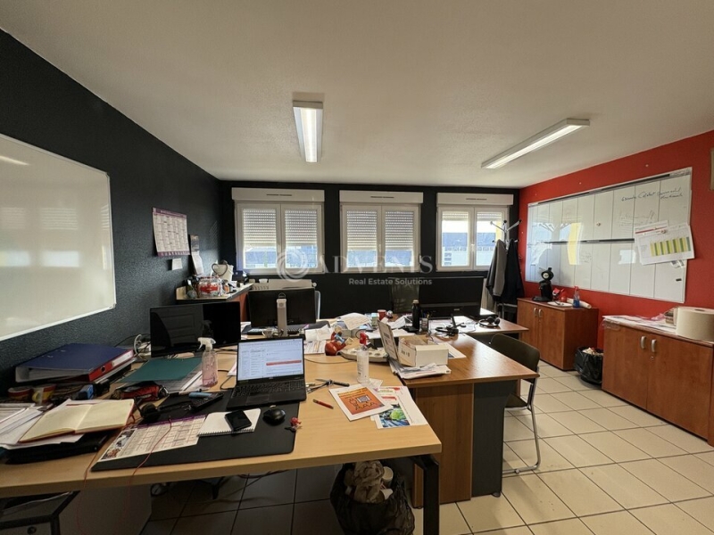 Location Activités Entrepôts HOERDT (67720) - Photo 15