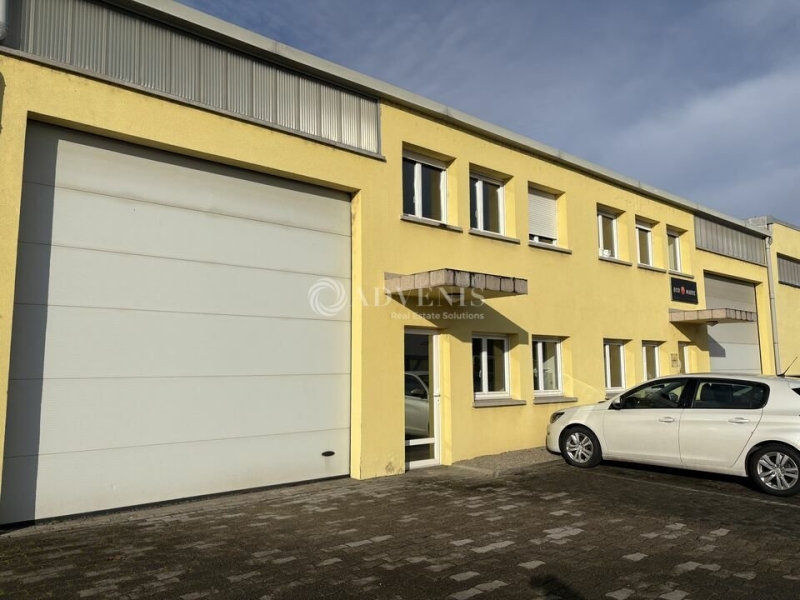 Location Activités Entrepôts HOERDT (67720) - Photo 2