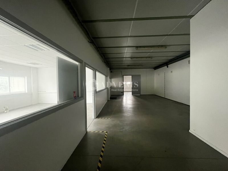 Location Bureaux et activités légères DUTTLENHEIM (67120) - Photo 8
