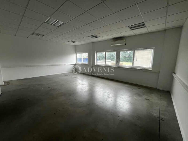 Location Bureaux et activités légères DUTTLENHEIM (67120) - Photo 9