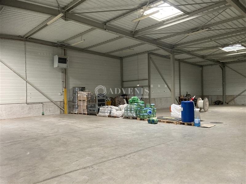 Location Activités Entrepôts SELESTAT (67600) - Photo 4