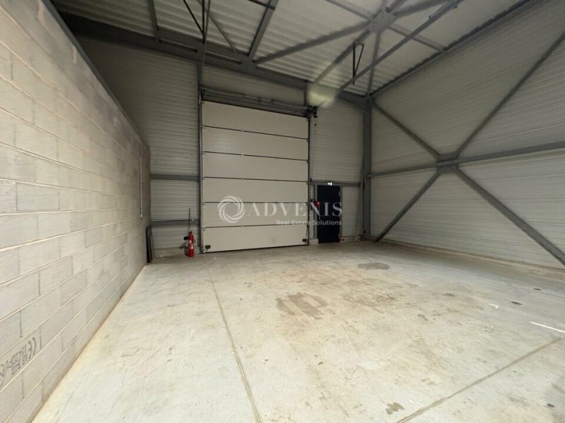 Location Activités Entrepôts REICHSTETT (67116) - Photo 6