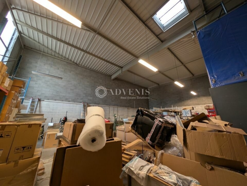 Location Activités Entrepôts ILLKIRCH GRAFFENSTADEN (67400) - Photo 4