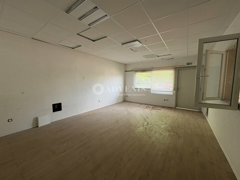 Location Activités Entrepôts SCHILTIGHEIM (67300) - Photo 4