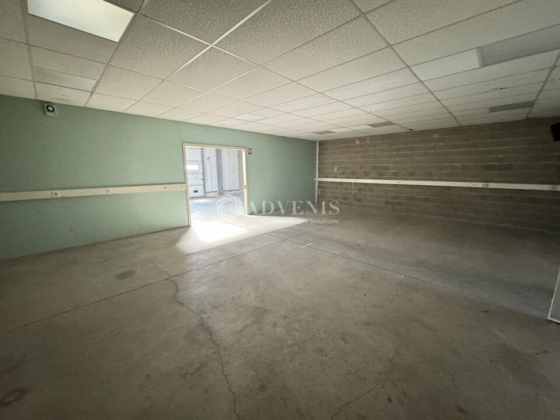 Location Activités Entrepôts ECKBOLSHEIM (67201) - Photo 4