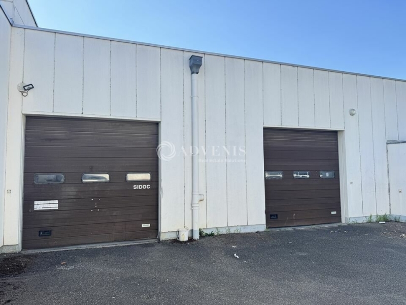 Location Activités Entrepôts ECKBOLSHEIM (67201) - Photo 6