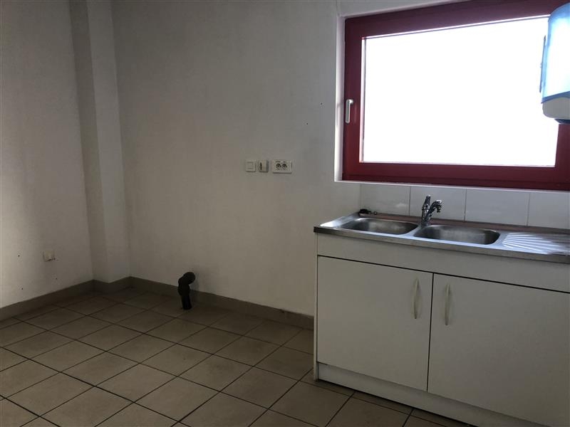 Location Activités Entrepôts OBERNAI (67210) - Photo 9