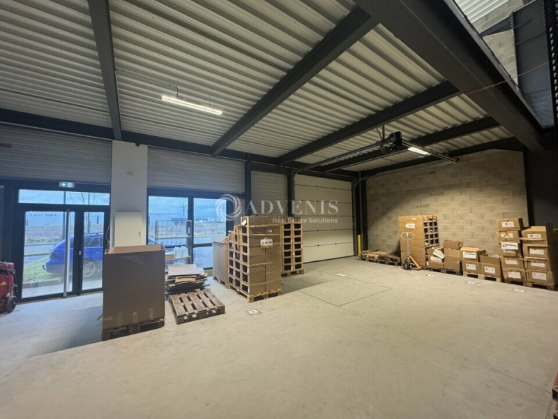 Location Activités Entrepôts BERNOLSHEIM (67170) - Photo 3