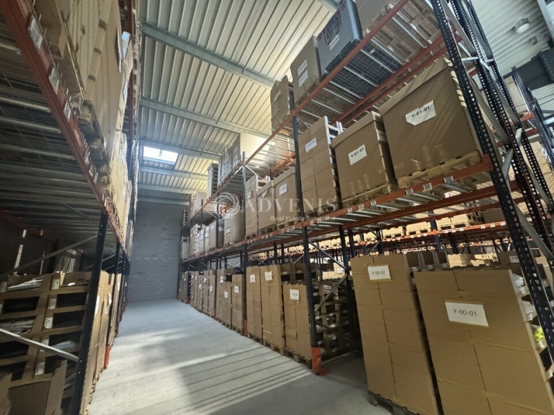 Location Activités Entrepôts BERNOLSHEIM (67170) - Photo 4