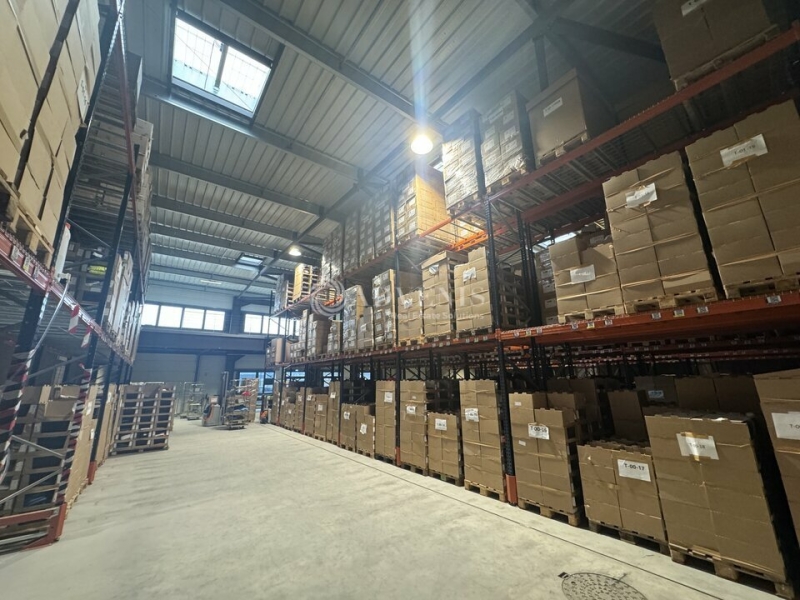 Location Activités Entrepôts BERNOLSHEIM (67170) - Photo 5