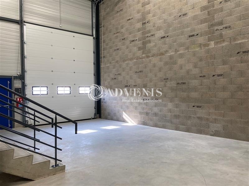 Location Activités Entrepôts ILLKIRCH GRAFFENSTADEN (67400) - Photo 6