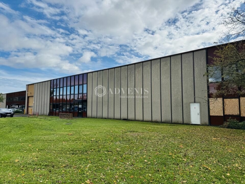 Location Activités Entrepôts LINGOLSHEIM (67380) - Photo 6