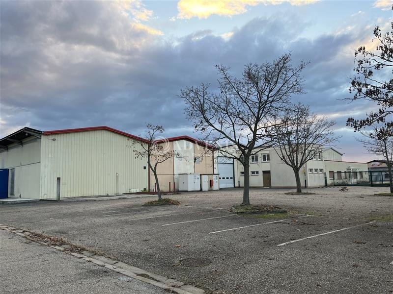 Location Activités Entrepôts DUTTLENHEIM (67120) - Photo 1