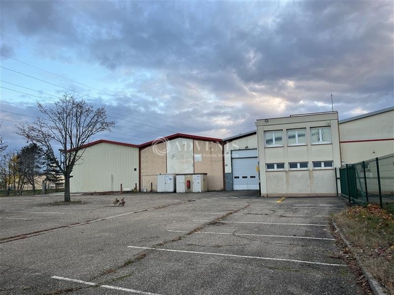 Location Activités Entrepôts DUTTLENHEIM (67120) - Photo 2