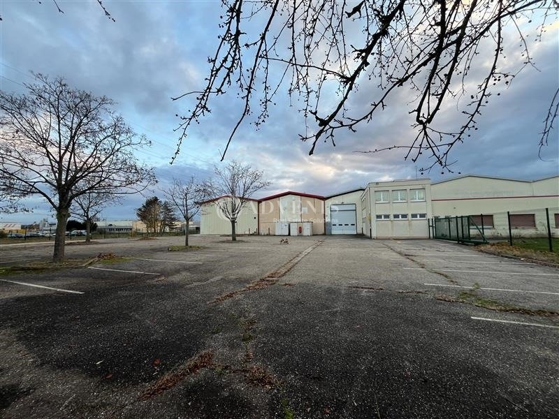 Location Activités Entrepôts DUTTLENHEIM (67120) - Photo 3