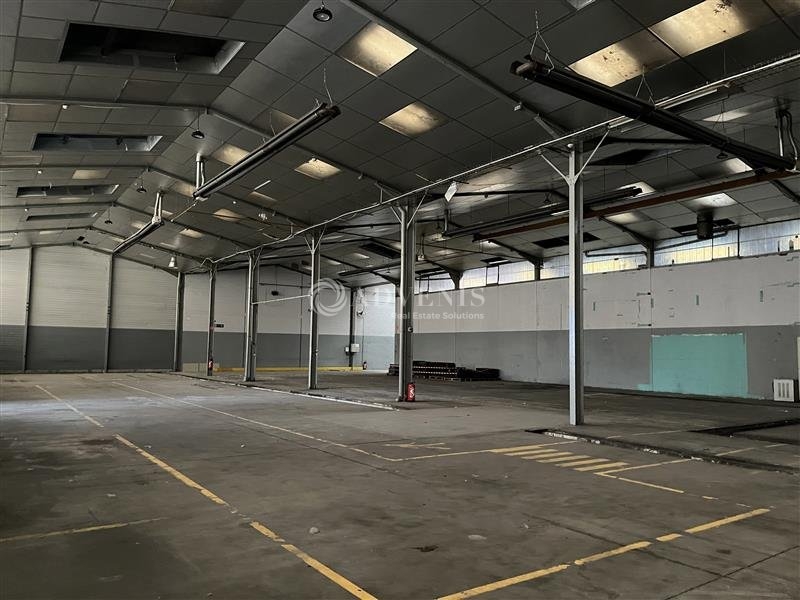 Location Activités Entrepôts DUTTLENHEIM (67120) - Photo 6