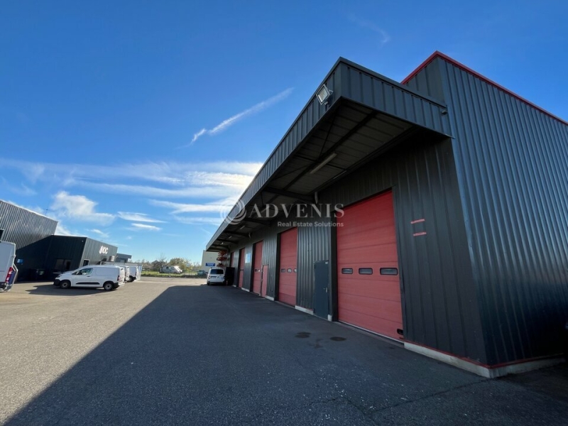 Location Activités Entrepôts SELESTAT (67600) - Photo 1