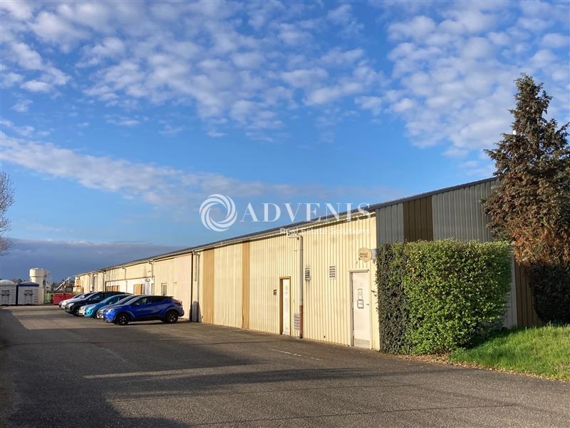 Vente Utilisateur Activités Entrepôts DUTTLENHEIM (67120) - Photo 1
