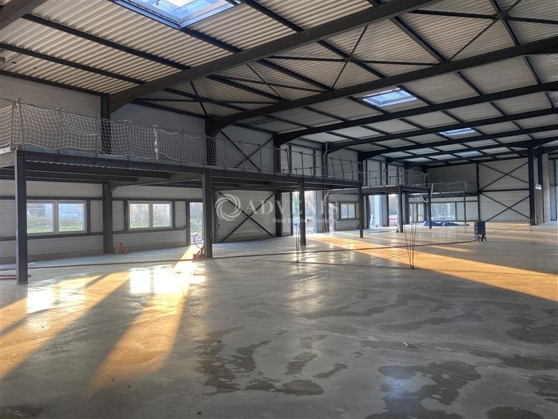 Location Activités Entrepôts GOXWILLER (67210) - Photo 7