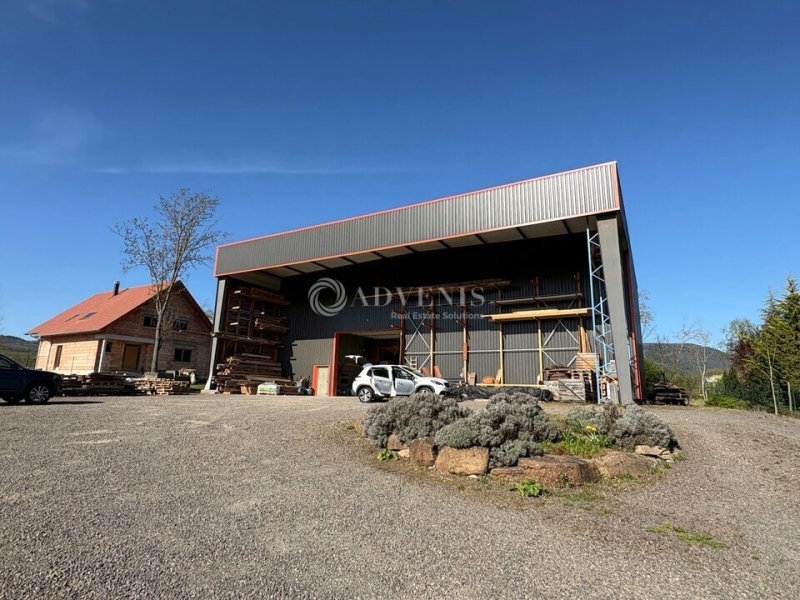 Location Activités Entrepôts BERNARDSWILLER (67210) - Photo 1