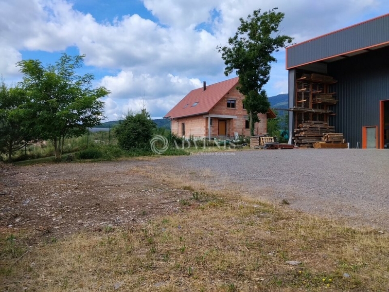 Location Activités Entrepôts BERNARDSWILLER (67210) - Photo 5