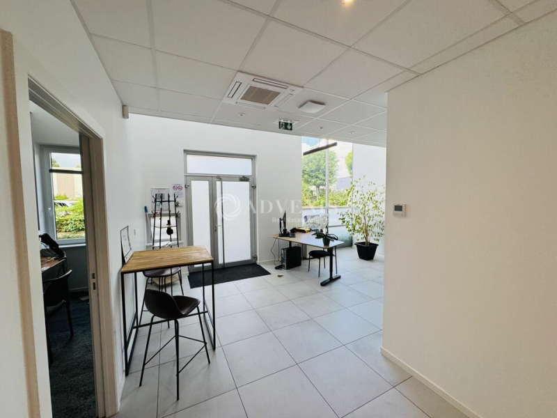 Location Activités Entrepôts SCHILTIGHEIM (67300) - Photo 6