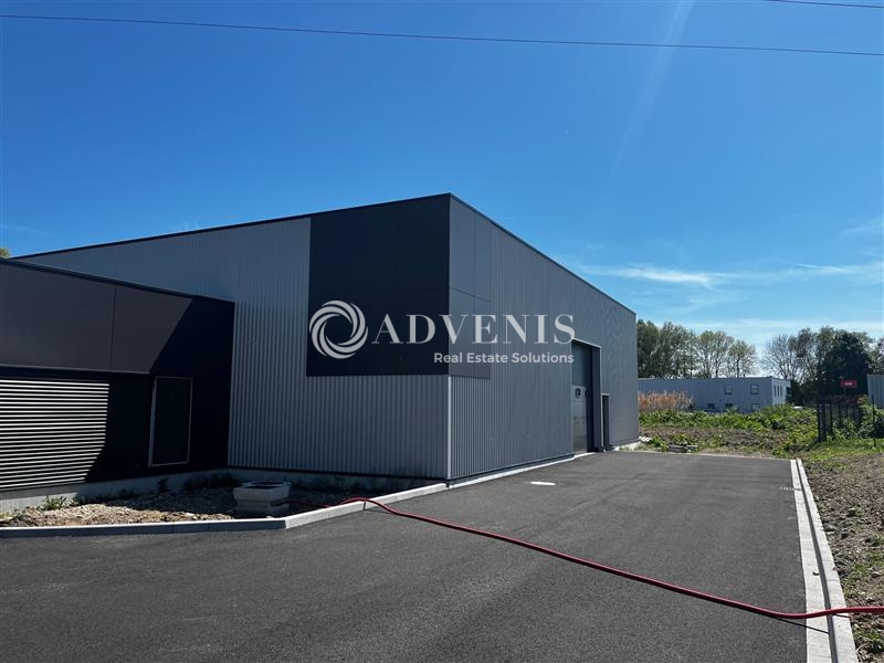 Location Activités Entrepôts GEISPOLSHEIM (67118) - Photo 5