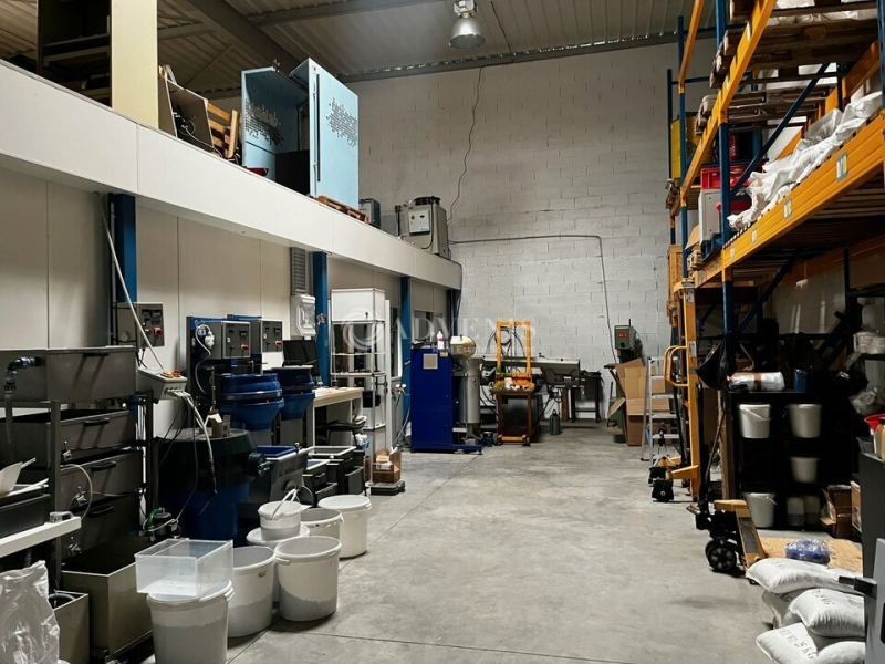 Location Activités Entrepôts ROSHEIM (67560) - Photo 4