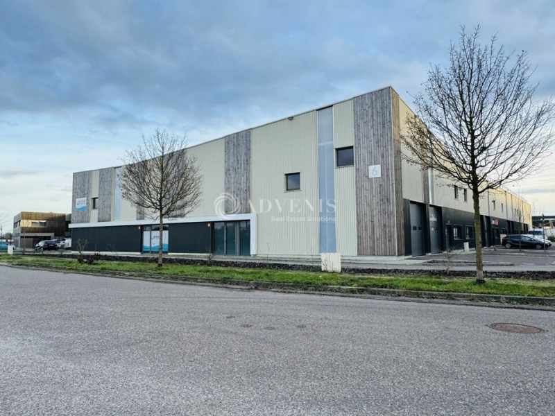 Location Activités Entrepôts HOLTZHEIM (67810) - Photo 1