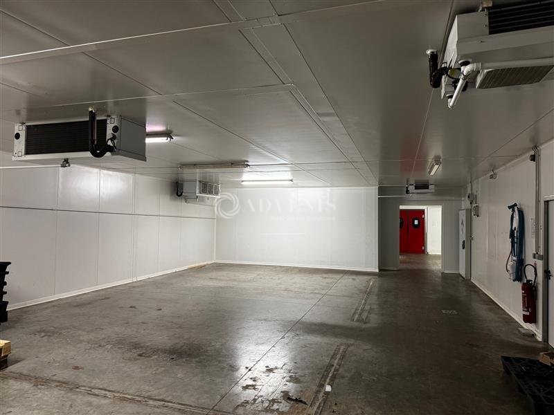 Location Activités Entrepôts HOERDT (67720) - Photo 5