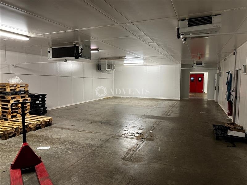 Location Activités Entrepôts HOERDT (67720) - Photo 6