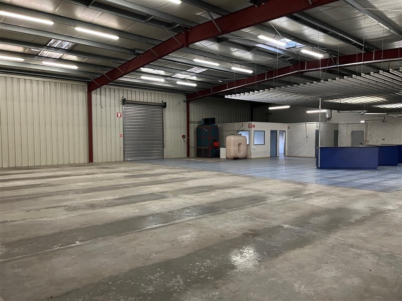 Vente Investisseur Activités Entrepôts SELESTAT (67600) - Photo 3