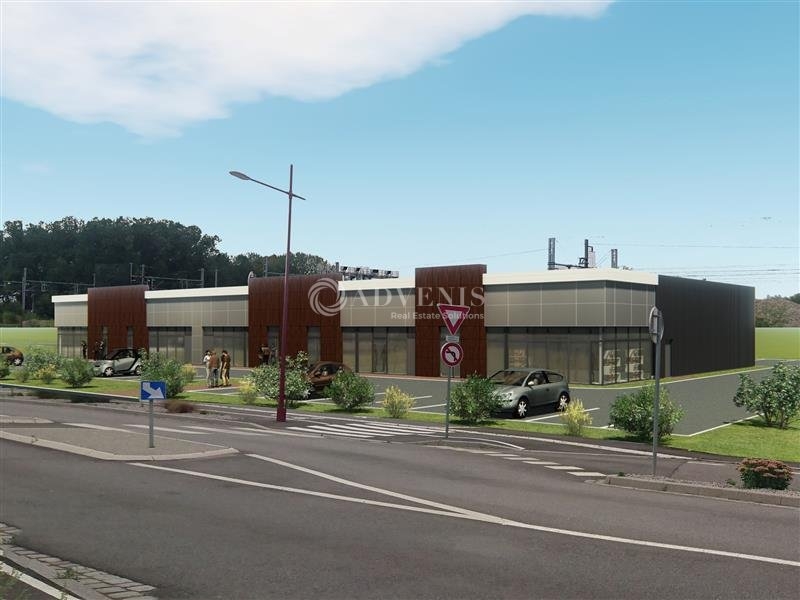 Location Activités Entrepôts VENDENHEIM (67550) - Photo 1