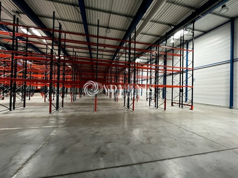 Location Entrepôts OSTWALD (67540) - Photo 5