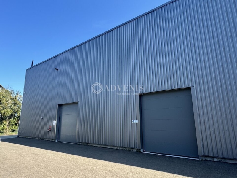 Location Bureaux et activités légères BRUMATH (67170) - Photo 5