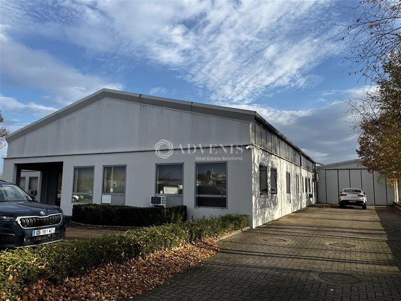 Vente Investisseur Activités Entrepôts ENTZHEIM (67960) - Photo 1