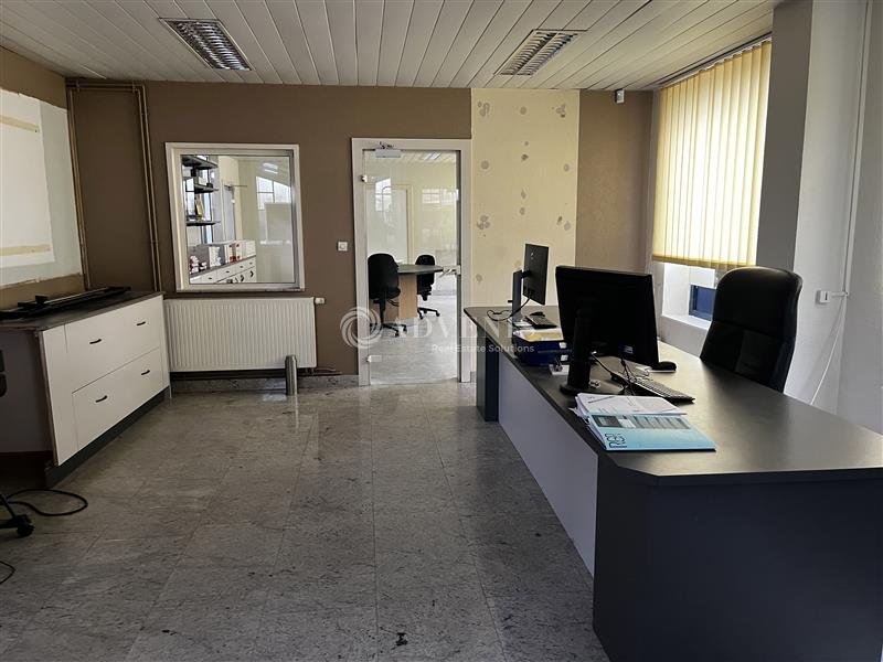 Vente Investisseur Activités Entrepôts ENTZHEIM (67960) - Photo 6