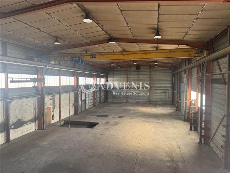 Location Activités Entrepôts ILLKIRCH GRAFFENSTADEN (67400) - Photo 4