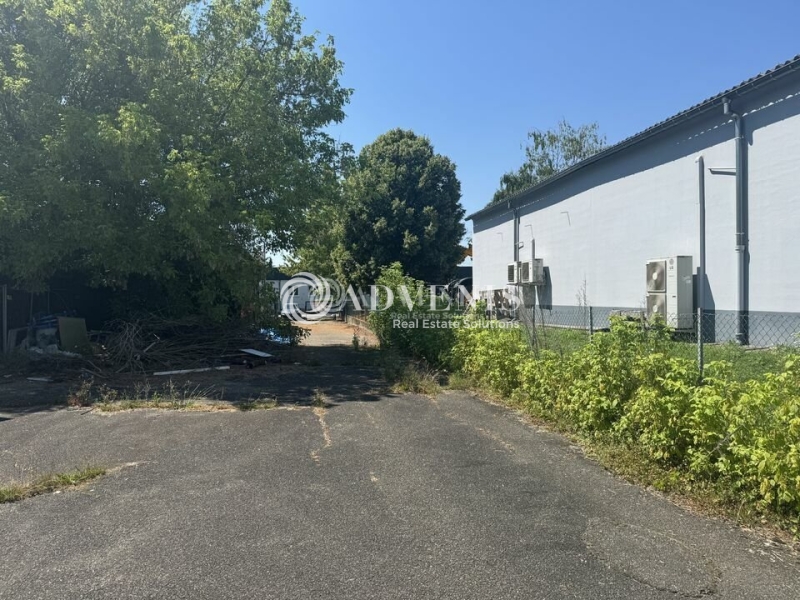 Vente Investisseur Terrain WOLFISHEIM (67202) - Photo 1