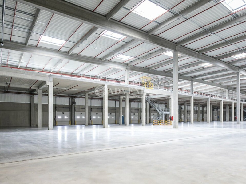 Location Entrepôts ENSISHEIM (68190) - Photo 7